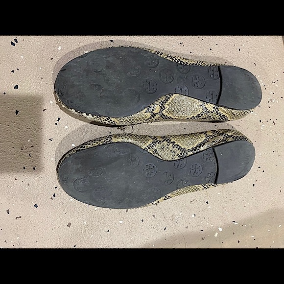 Tory Burch Snakeskin Flat - Picture 3 of 7